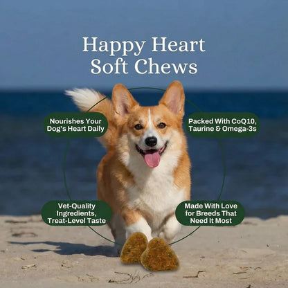 Happy Heart Daily Support Soft Chews
