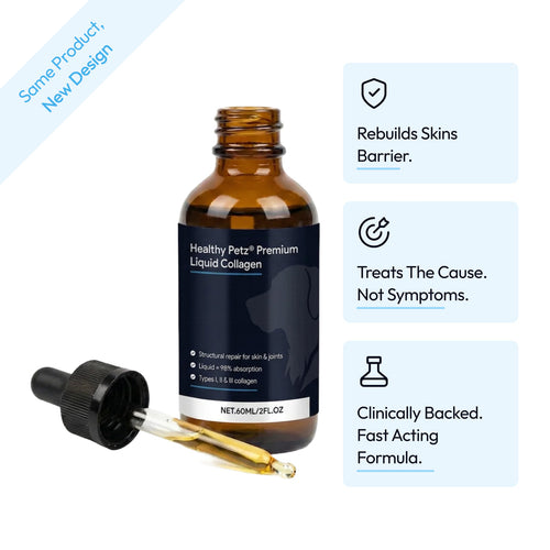Holistic Skin & Coat Support for Dogs
