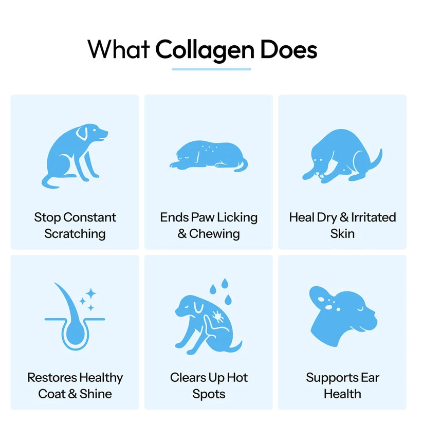 Pure Collagen For Dogs