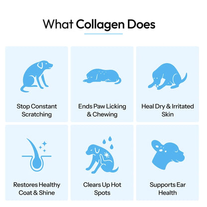 Pure Collagen For Dogs