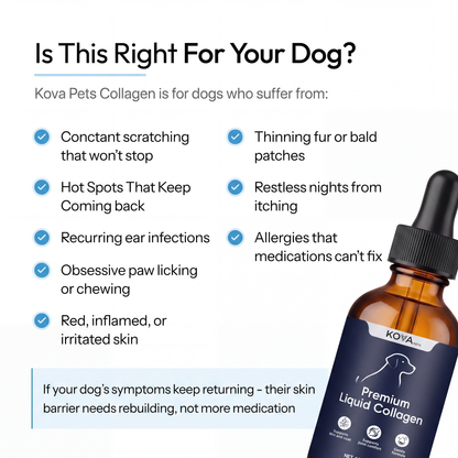 Pure Collagen For Dogs